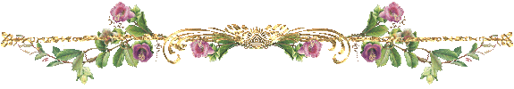 Divider Graphics