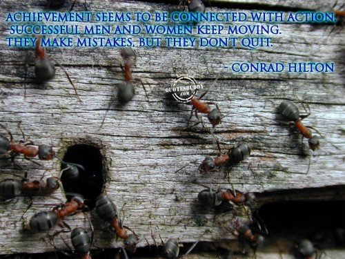 achievement-quotes-Successful Persons Do Not Quit