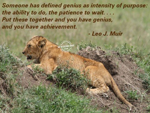 achievement-quotes-Putting Together Of Intensity And Ability And Patience Means Achievement