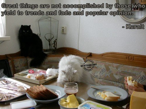 achievement-quotes-Who Yield To Trends Can Never Accomplish Great Things