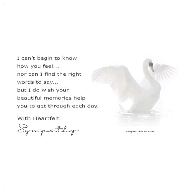 With Heartfelt Sympathy I Can't Begin To Know Sympathy Card